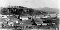 View Port Orford SE end c1895