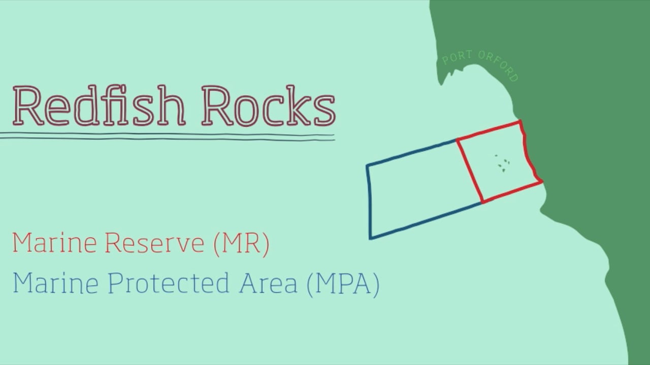 Redfish Rocks Marine Reserve Boundary